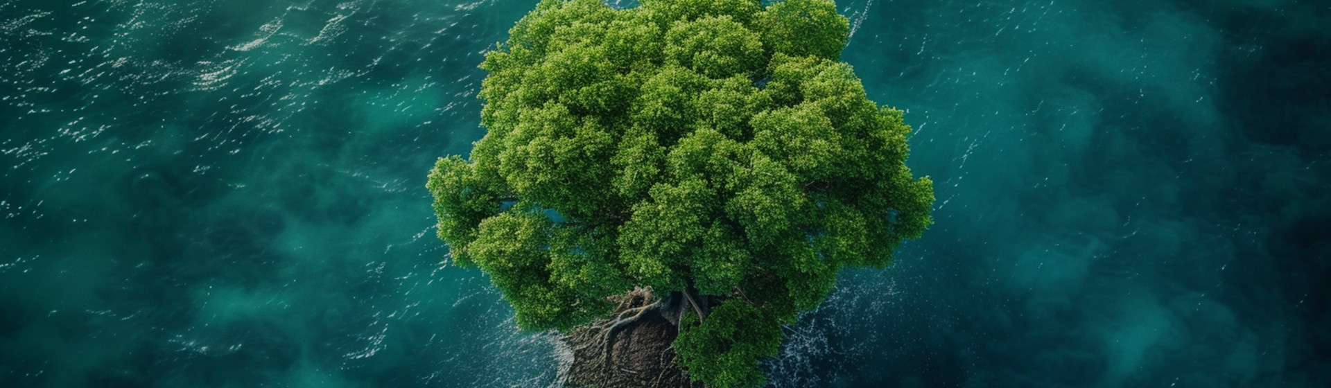 Ningbo Aikang Aluminum Foil Technology Co, Ltd.